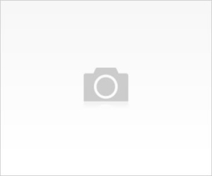 Kemik uzatma ve deformite koreksyonları / CORLU AKTÜEL GAZETESİ